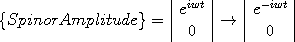 \{Spinor Amplitude\}=\left|\begin{array}{c}e^{iwt}\\0\end{array}\right|\rightarrow\left|\begin{array}{c}e^{-iwt}\\0\end{array}\right|